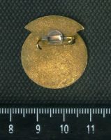 Лот: 16557310. Фото: 2. (№2529) знак спорт, лыжня зовёт... Значки, медали, жетоны