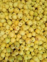 Лот: 20816921. Фото: 2. Ранетка. Продукты