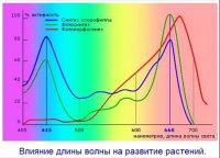 Лот: 10047640. Фото: 8. фитосветильник для рассады на...