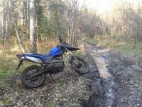 Лот: 5032309. Фото: 3. Racer Ranger 200. Авто, мото, водный транспорт