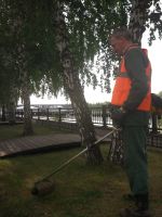 Лот: 13641832. Фото: 2. покос травы, обработка от клещей... Семена, рассада, садовые растения