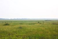 Лот: 6570089. Фото: 8. Участки д.Есаулово ИЖС