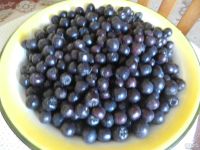Лот: 8052683. Фото: 2. Ягода - черноплодная рябина (черноплодка... Продукты