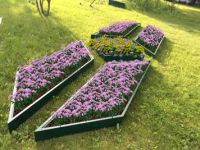 Лот: 5946606. Фото: 4. Французская клумба "Ирис". Различные...