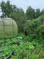 Лот: 25576694. Фото: 5. Продам Дачу 40м2 на участке 9...