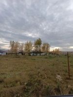 Лот: 25768207. Фото: 3. участок , посёлок Солонцы улица... Недвижимость