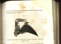 Лот: 20044197. Фото: 20. Питер Гартинг (профессор Утрехтского...