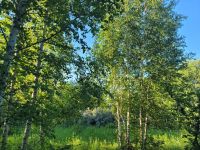 Лот: 17900922. Фото: 5. Земельный участок 51, 24 сотки