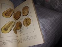 Лот: 16228578. Фото: 7. Круглые лесоматериалы. Справочник...