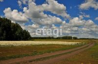 Лот: 25292827. Фото: 9. участок , СНТ Ладное СНТ Ладное...