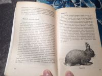 Лот: 21772585. Фото: 3. Михайлов Кролики декоративные... Литература, книги