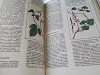 Лот: 18596578. Фото: 8. Мир культурных растений. Справочник...