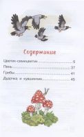 Лот: 14418449. Фото: 2. "Цветик-семицветик. Сказки" Катаев... Детям и родителям