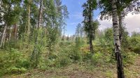 Лот: 25294724. Фото: 16. 3-комн. дача , село Овсянка село...