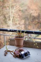 Лот: 9690086. Фото: 6. Canon EF 40mm 2.8 STM