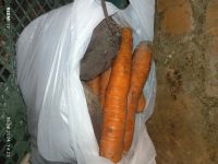 Лот: 23362218. Фото: 2. Морковь + свекла. Продукты
