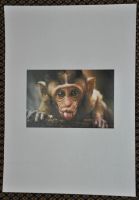 Лот: 4623851. Фото: 4. HP Color LaserJet 1600 Лазерный... Красноярск