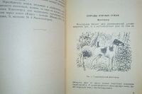 Лот: 24890283. Фото: 9. Охота с норными собаками.* 1957...