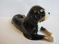 Лот: 17174459. Фото: 6. бернская овчарка зенненхунд собака...