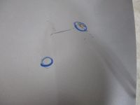 Лот: 15739775. Фото: 2. Капот Suzuki Aerio, RA41S, RB21S... Автозапчасти