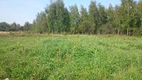 Лот: 6902940. Фото: 2. Земельный участок в Сосновоборске. Продажа