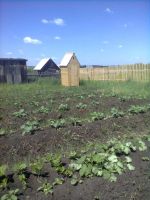 Лот: 10781218. Фото: 7. Продам дачу, Таскино, северное...