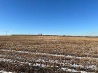 Лот: 25328481. Фото: 7. участок , , 24:04:0102001:1005...