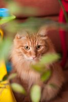Лот: 7741716. Фото: 5. Nikon d90 + Nikkor 18-105mm f...