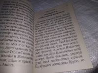 Лот: 19628223. Фото: 4. Молитвослов крупным шрифтом (1269...