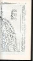 Лот: 7466417. Фото: 3. Шило, Н.А. Основы учения о россыпях. Литература, книги