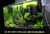 Лот: 8812276. Фото: 2. Аквариум-наноаквариум. Отличный... Аквариумистика