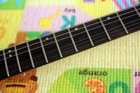 Лот: 13727075. Фото: 4. Washburn X200PROE BK 2008. Красноярск