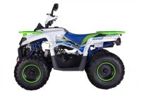 Лот: 25659383. Фото: 4. Квадроцикл ROCKOT Hammer 200 Premium. Красноярск