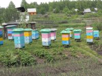 Лот: 14911912. Фото: 4. Мёд натуральный с разнотравья