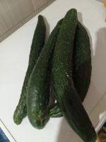 Лот: 14374592. Фото: 4. Огурцы салатные свежие из деревни...