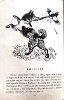 Лот: 25705546. Фото: 5. Пришвин Михаил - Рассказы: Выскочка...