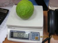 Лот: 9182825. Фото: 3. лимон крупноплодный №59. Растения и животные