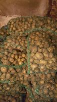Лот: 11428413. Фото: 2. Картофель семенной 1 репродукция... Продукты