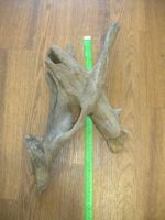 Лот: 7170111. Фото: 5. Коряга в горшок,аквариум,террариум...