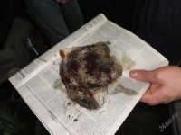 Лот: 1504317. Фото: 2. Промывка радиатора печки автомобиля. Транспортные услуги, вывоз мусора