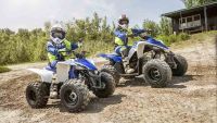 Лот: 25740265. Фото: 5. Квадроцикл YAMAHA YFM90R (Raptor...