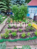 Лот: 25286013. Фото: 13. 2-комн. дача , посёлок Мир посёлок...