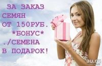 Лот: 10486577. Фото: 6. Кервель.Миррис. дикая петрушка...
