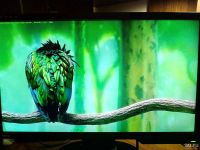 Лот: 9078019. Фото: 4. Монитор LCD 23" BenQ G2320HDBL... Красноярск