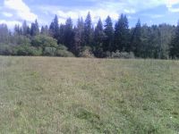 Лот: 4965816. Фото: 3. Земельный ~ 20сот, обмен на предложенное... Недвижимость