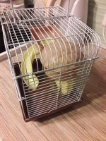 Лот: 9398313. Фото: 2. Клетка для грызуна ( использовалась... Животные и уход