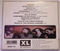 Лот: 24904727. Фото: 4. CD "the Prodigy experience"