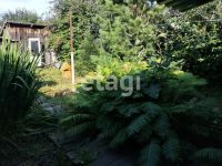 Лот: 25287527. Фото: 2. 3-комн. дом , деревня Терентьево... Продажа