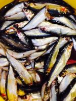 Лот: 4376571. Фото: 2. Тугунок малосольный. Продукты