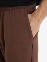 Лот: 23283003. Фото: 4. Брюки мужские Demix, Коричневый. Красноярск